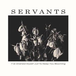 I've Drained Myself Just To Keep You Blooming