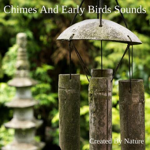 Chimes And Early Birds Sounds