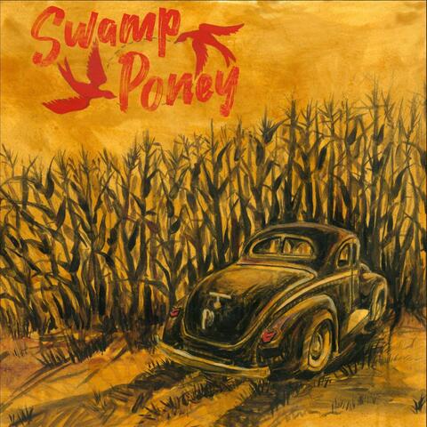 Swamp Poney