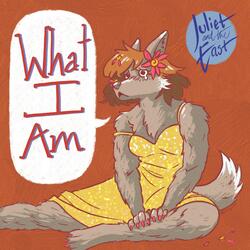 What I am