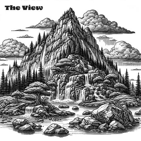 The View