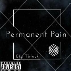 Permanent Pain (feat. Mdn Pollie & CrayZay)