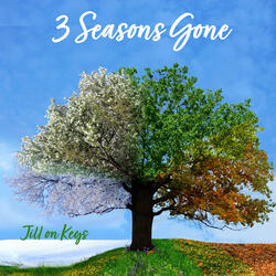 3 Seasons Gone