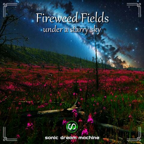 Fireweed Fields under a starry sky