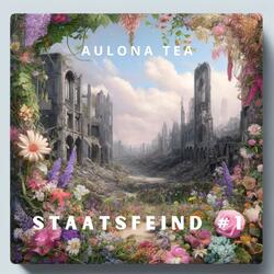 Staatsfeind #1