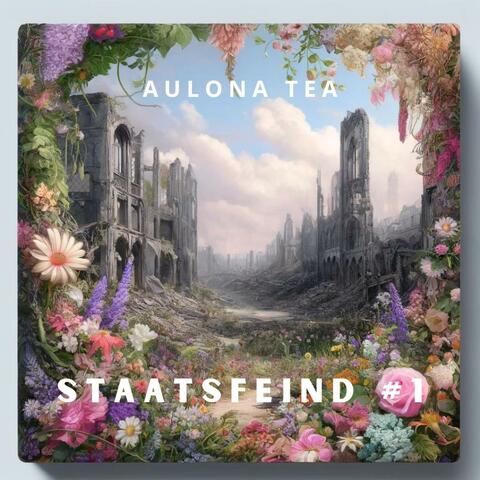 Staatsfeind #1