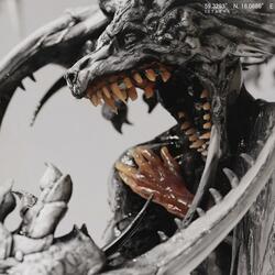 Year of the Black Sun
