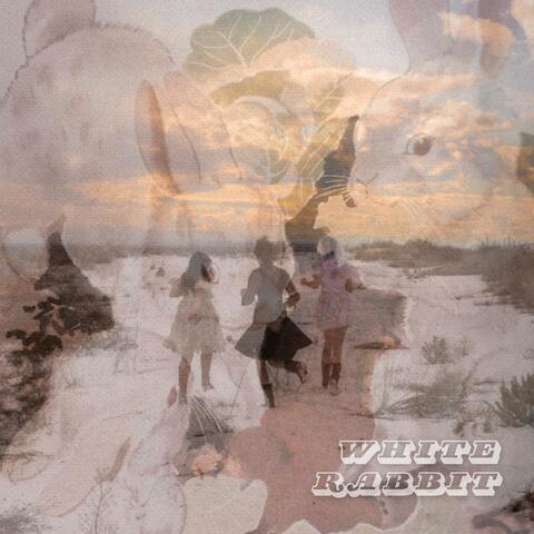 White Rabbit