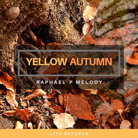 Yellow Autumn