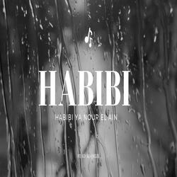Habibi Ya Nour El Ain