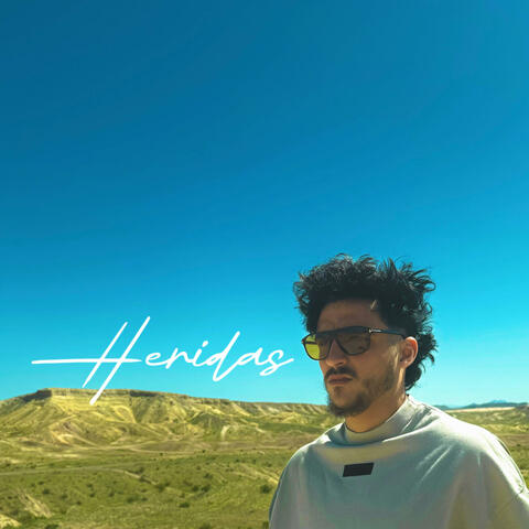 Heridas