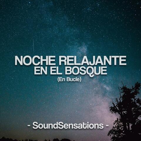 Noche Relajante En El Bosque