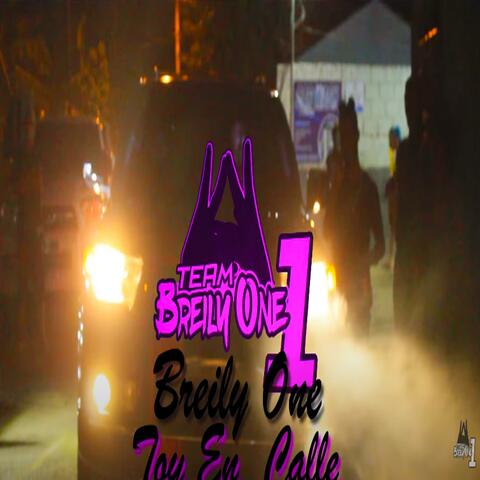 Toy En Calle