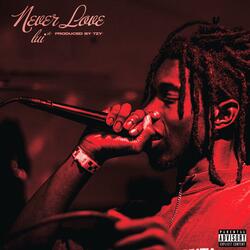 Never Love (feat. lui*)