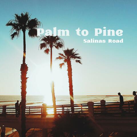 Palm to Pine