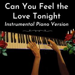 Can You Feel the Love Tonight