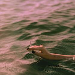 Misery Loves Company