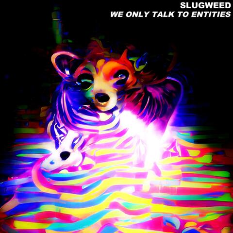 We Only Talk to Entities