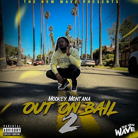 Out On Bail 2