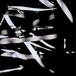 Flux:Coda