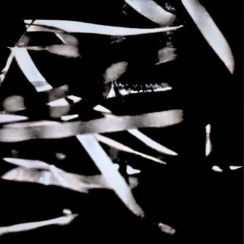 Flux:Coda