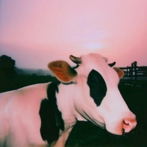 DAIRY QUEEN (Prairie Version)