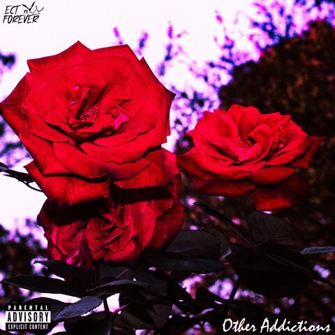 Other Addictions (feat. Darrion DuBay)