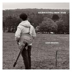 Song Thrush In A Cage