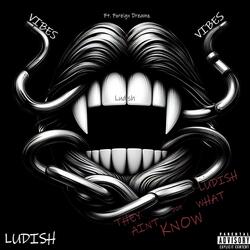 VIBES (feat. Foreign Dreamz)