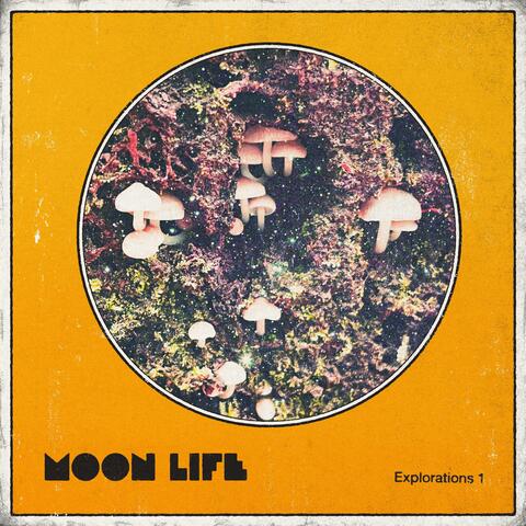 Explorations 1