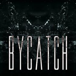 Bycatch