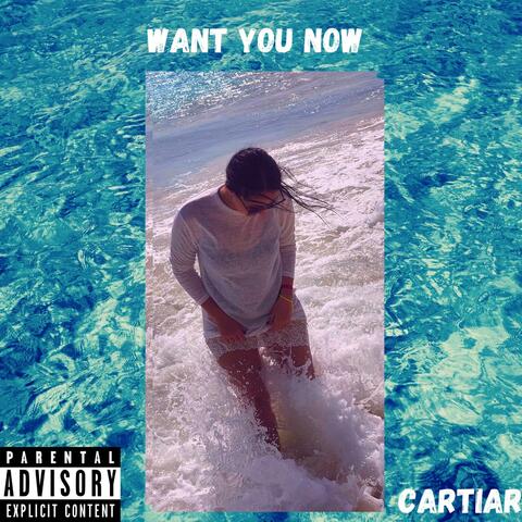 Want You Now