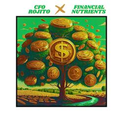 Financial Nutrients Podcast Intro
