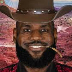 Lebron Wild West Sunshine