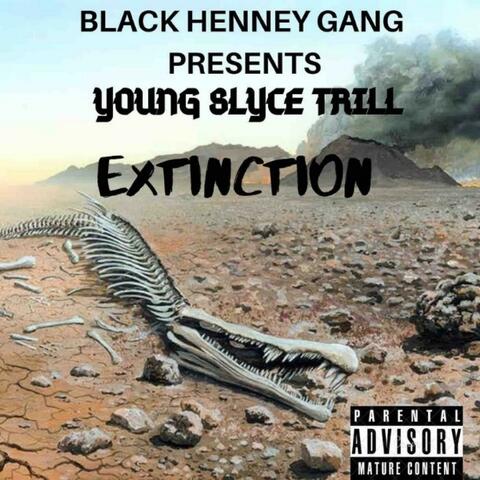Extinction
