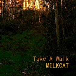 Take A Walk