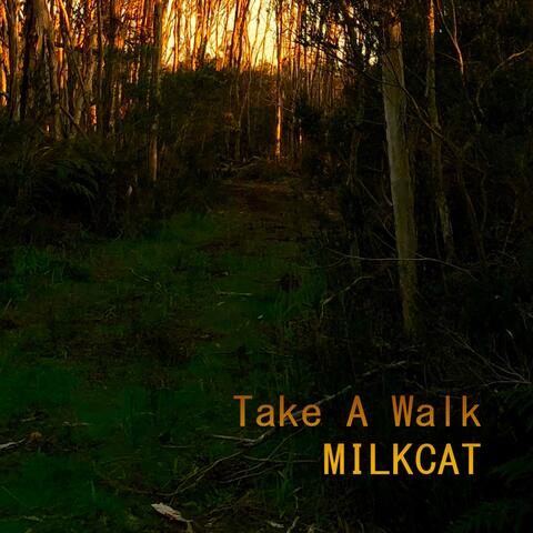 Take A Walk