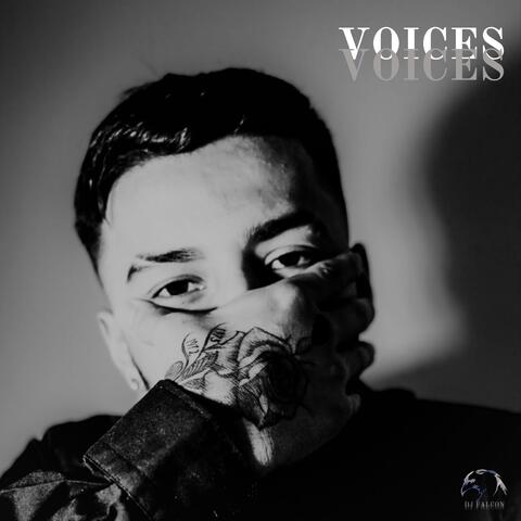Voices