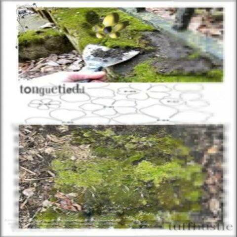 A Song I Made Last Nite