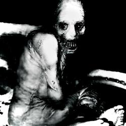 Mental Asylum