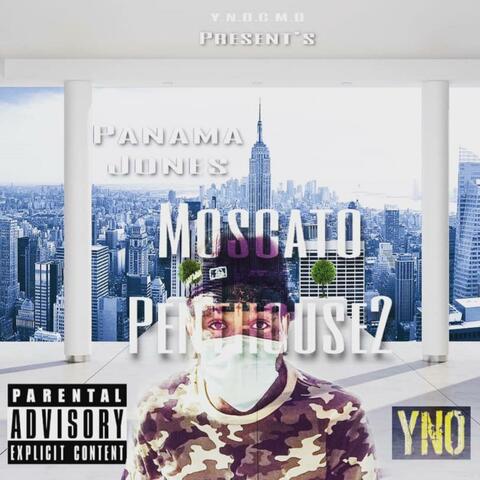 Moscatopenthouse2