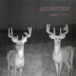 Astroturf