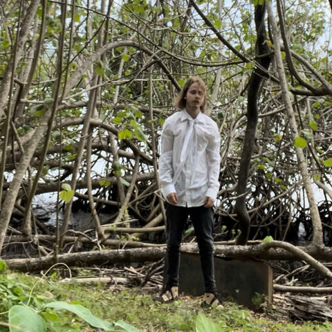 lost in the forest +
