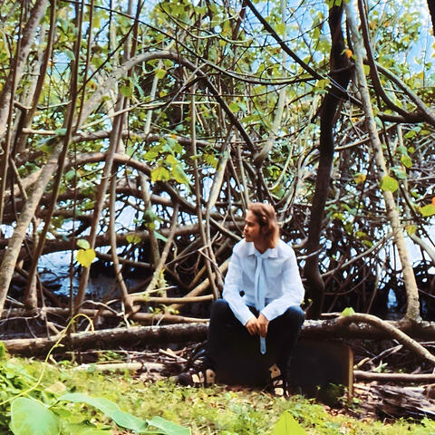 lost in the forest