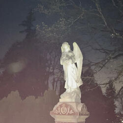 gods gonna cut you down