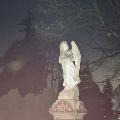 gods gonna cut you down