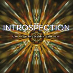 Introspection