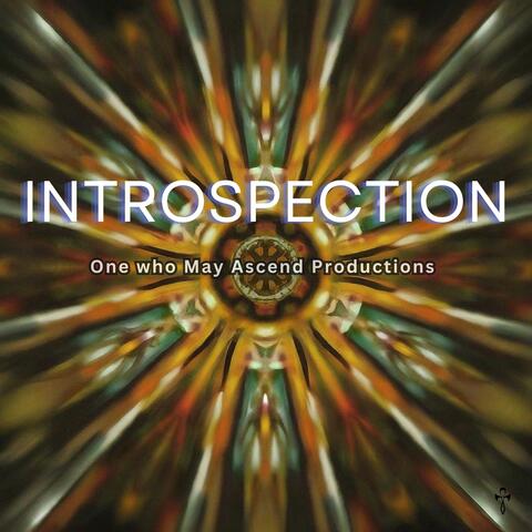 Introspection