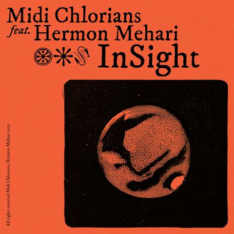 InSight (feat. Hermon Mehari)