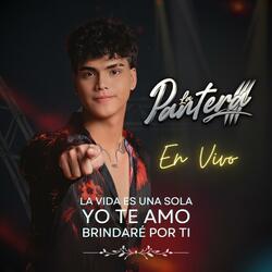 La Vida Es Una Sola / Yo Te Amo / Brindaré Por Ti